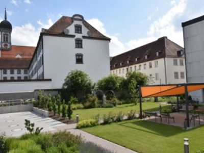 Blick in den Garten