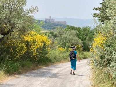 Caceri-Assisi-Dillinger-Franziskanerinnen_06
