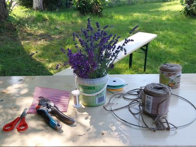 Lavendel