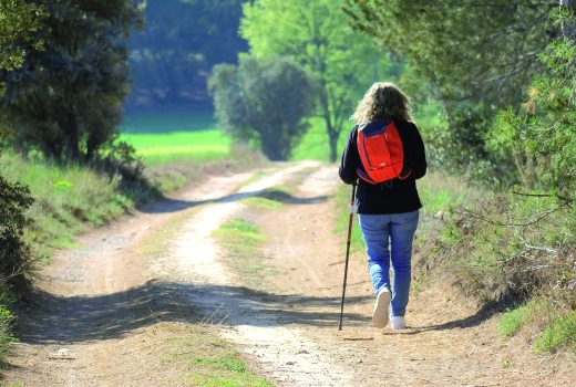 Wandern
